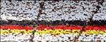 German supporters create a German flag prior the World Cup 2006 group A  football match Ecuador vs Germany, 20 June 2006 at Berlin stadium.   AFP PHOTO / VINCENZO PINTO